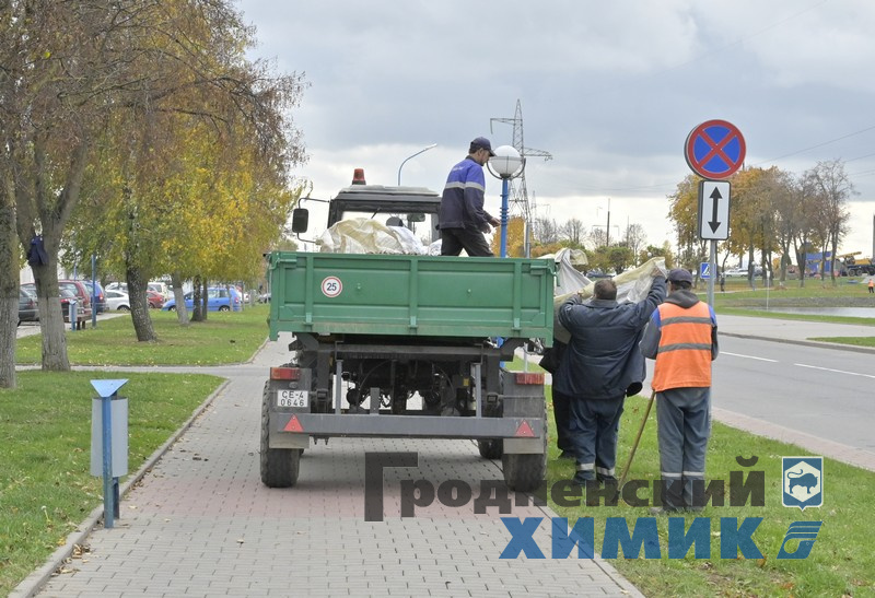 4566768798090 (1).jpg